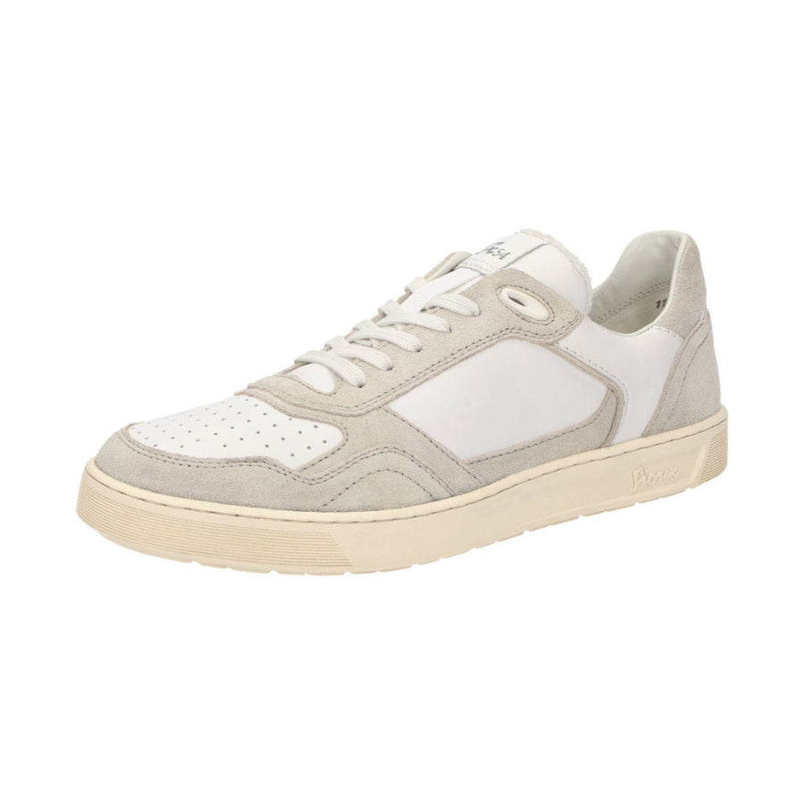 Tedroso-704 11404 Grey Multi Trainers