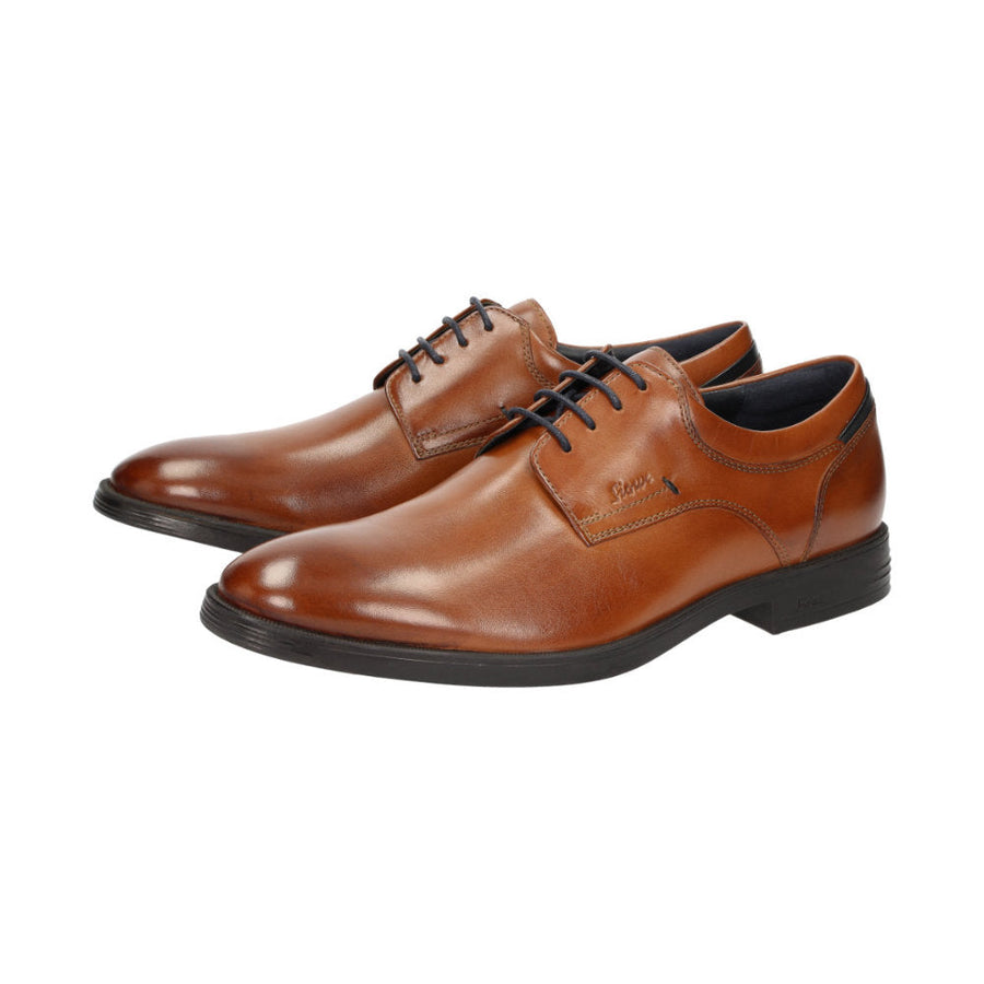 Foriolo-707-H 11741 Brown Lace-Up Shoes